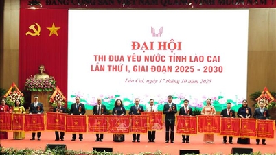 Convertir la provincia de Lao Cai en un centro de conexiones económicas y comerciales internacionales