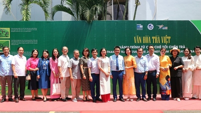 Vietnam Çay Kültürüne Saygı – Çay Ağacından Çay Fincanına Yolculuk