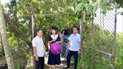 Approving the Agricultural Extension Development Strategy to 2030, with a vision to 2050
