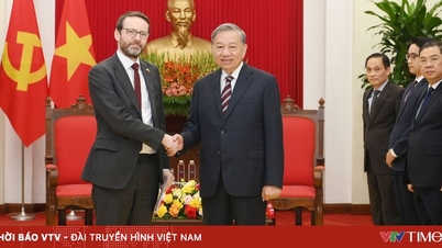 Tổng Bí thư Tô Lâm tiếp Đại sứ Anh