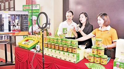 Động lực then chốt để nông nghiệp phát triển bền vững