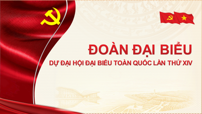 Danh sách đại biểu chính thức và đại biểu dự khuyết của Đảng bộ tỉnh Cà Mau dự Đại hội đại biểu toàn quốc lần thứ XIV của Đảng