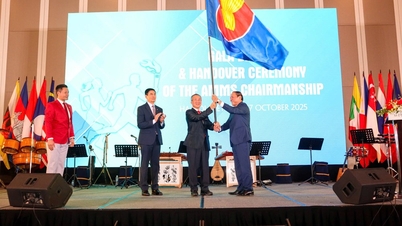 Vietnam transfiere el rol de anfitrión del AMMS-9 a Camboya