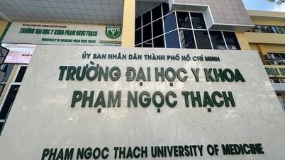 Toplantıda çok fazla soru sorulması nedeniyle usta işitme testi yaptırmak istedi