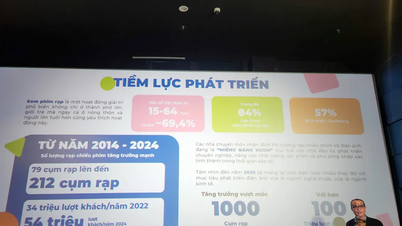 Pasar sinema Vietnam targetkan 1.000 kompleks bioskop