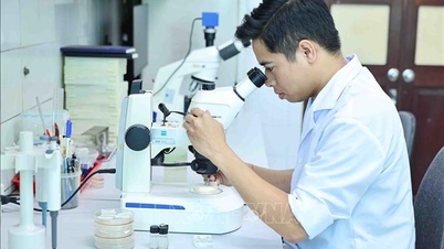 才能ある若手科学者・技術者に対する優遇政策