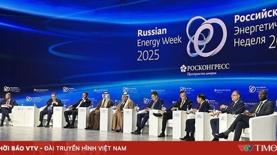 Vietnam a Rusko posilují energetickou spolupráci