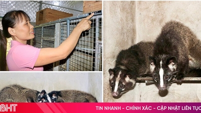 Mai Hoa có nhiều mô hình kinh tế "nở hoa"