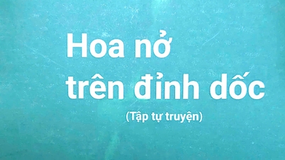 책 - 좋은 친구 언덕 위에 꽃이 핀다 - 결의와 믿음의 교향곡