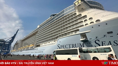 Хошимин предлагает разрешить международным пассажирским судам заходить в порт Каймеп-Тхивай