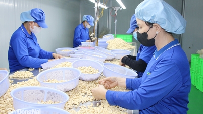 生産と事業のための信用の流れに焦点を当てる