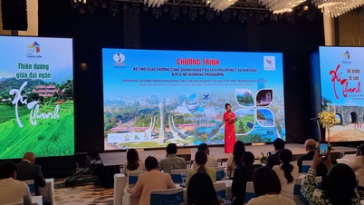 Thanh Hoa and Ninh Binh attract tourists from the Philippines and South Korea markets.