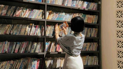 "Parede de livros" com 7.500 livros em um café em uma cidade montanhosa atrai jovens para fazer check-in