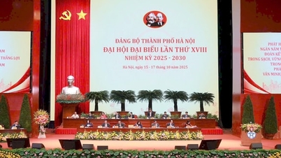 Specialnyheter i tidningen Hanoi Moi den 18 oktober 2025