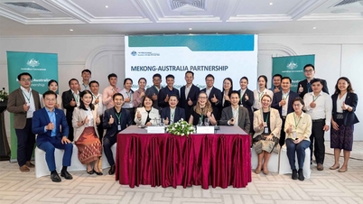 Training foreign translation and interpretation skills for officials of Lao ministries and branches