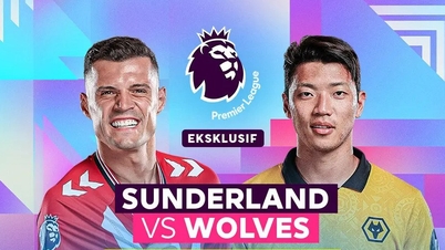 Comentários sobre o jogo Sunderland x Wolves, 21h00 de 18 de outubro: Quando o "gato" intimida o "lobo"