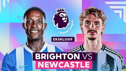 Resumen del partido Brighton vs Newcastle, 21:00 h, 18 de octubre: Partido igualado