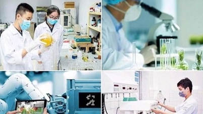 Proceso de selección de iniciativas innovadoras para implementar la Resolución 57