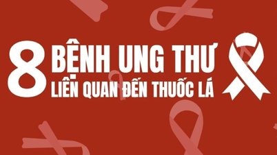 [Infographie] 8 cancers liés au tabac