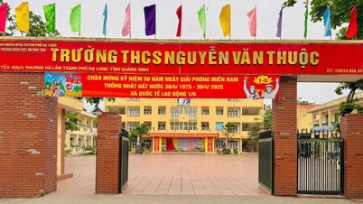 Hiệu trưởng bị tố sửa điểm từ yếu lên giỏi cho con cán bộ phường