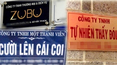 Đặt tên công ty ZUBU, Chị Em Rọt, Một mình tao... tào lao nhưng sao vẫn được cấp phép?