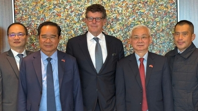 Le groupe Warburg Pincus est très intéressé par un investissement à Ho Chi Minh-Ville.