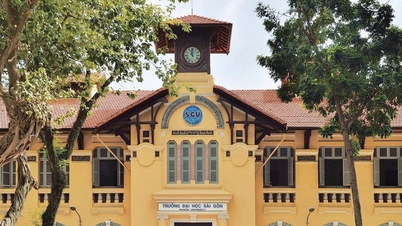 हो ची मिन्ह सिटी और कई इलाकों में विश्वविद्यालयों और कॉलेजों को विलय करने की योजना है।