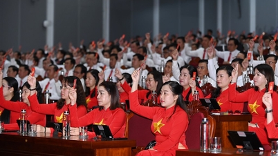 El 1er Congreso del Comité Provincial del Partido de Ca Mau, período 2025-2030 fue un gran éxito.