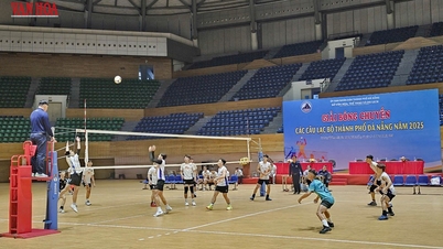 Opening of the 2025 Da Nang City Club Volleyball Tournament