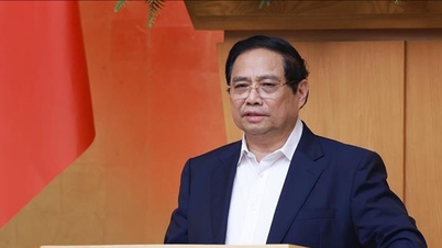 প্রধানমন্ত্রী ফাম মিন চিন কঠোরভাবে শৃঙ্খলা ও শৃঙ্খলা বজায় রাখার এবং আইন প্রণয়নের মান উন্নত করার অনুরোধ করেছেন।