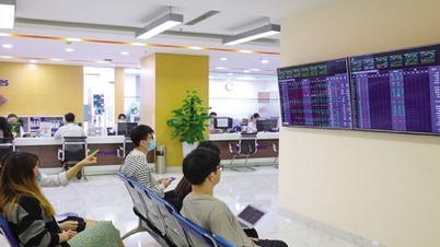 Hasil Bisnis Q3/2025: Gambaran Keuntungan yang Cerah
