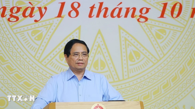 প্রধানমন্ত্রী: প্রতিটি সম্পন্ন প্রকল্প জনগণের জন্য আনন্দ ও আনন্দ বয়ে আনে।