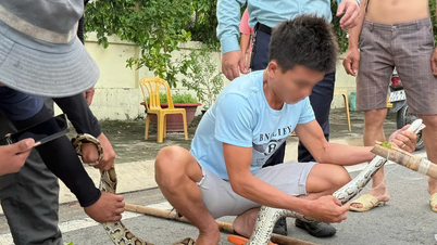 Khanh Hoa: Menschen übergeben 2 m lange Python