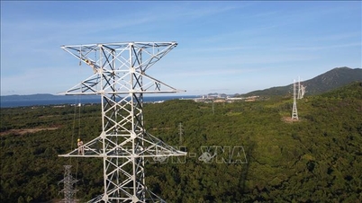 National Power Transmission Corporation ber Nghe An om å overlevere tomten til det importerte kraftprosjektet.