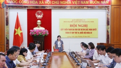 គណៈប្រតិភូរដ្ឋសភាខេត្ត Quang Ninh ប្រមូលមតិលើសេចក្តីព្រាងច្បាប់ដាក់ជូនសម័យប្រជុំលើកទី១០