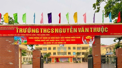 Verify information about changing scores from poor to excellent for students in Quang Ninh