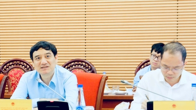 Xây dựng cơ chế, chính sách đặc thù, vượt trội phát triển giáo dục và đào tạo