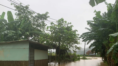 ダナンの多くの山岳地帯は大雨のために洪水になった。
