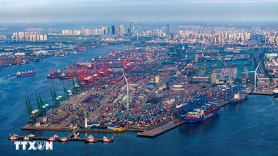 WTO:米中貿易摩擦で世界経済生産が7%減少