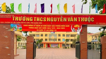 Nguyen Van Thuoc Secondary School Principal accused of directing score correction in Quang Ninh