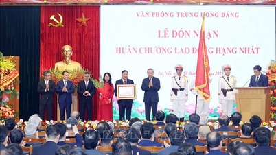 General Secretary: The Party Central Office needs to play the role of 'conductor' and set an exemplary example