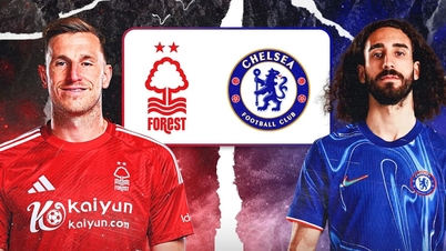 Live football Nottingham Forest vs Chelsea, round 8 Premier League