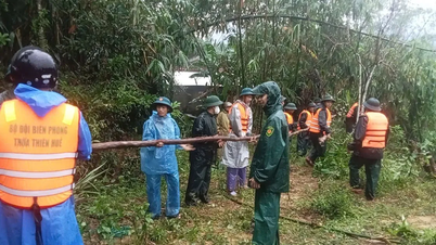 Kota Hue: Upaya pencegahan longsor di tepi sungai Bu Lu yang mengancam permukiman warga