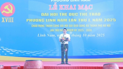1,200 لوگوں نے 1st Linh Nam Ward سپورٹس فیسٹیول میں شرکت کی۔