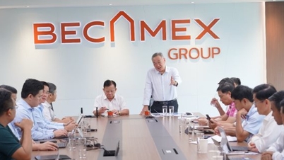 EVNHCMC garante fornecimento de energia para os Parques Industriais Becamex IDC