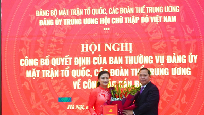 Fru Do Thi Thu Thao er president for sentralkomiteen i Vietnams Røde Kors.