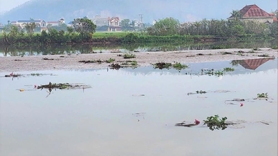 浚渫を待つダド川