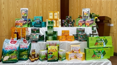 Lang Son has 2 booths introducing products at the Khanh Hoa Trade Fair and Consumer Stimulus 2025