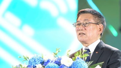 Deputy Prime Minister requests to strengthen security and safety in digital payments