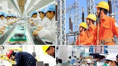 Innovation dans la réflexion et la sensibilisation aux entreprises publiques